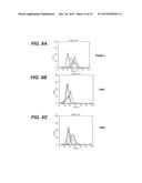 TUMOR SPECIFIC ANTIBODIES AND USES THEREFOR diagram and image