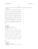 TUMOR SPECIFIC ANTIBODIES AND USES THEREFOR diagram and image