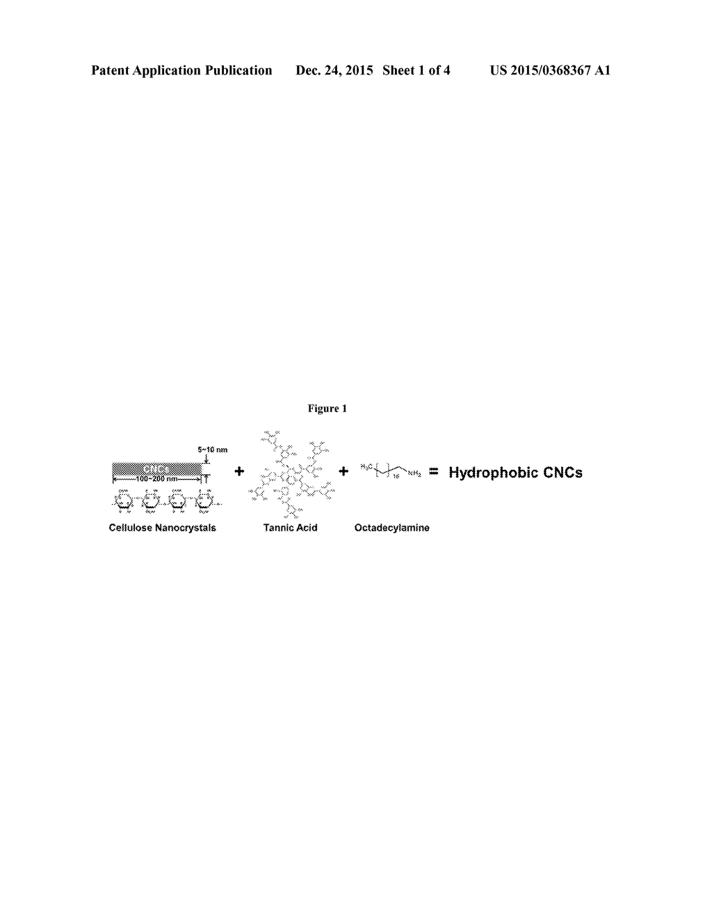 SURFACE MODIFICATION OF CELLULOSE NANOCRYSTALS - diagram, schematic, and image 02