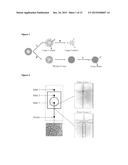 NESTED SUPRAMOLECULAR CAPSULES diagram and image