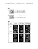 NESTED SUPRAMOLECULAR CAPSULES diagram and image