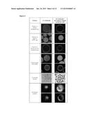 NESTED SUPRAMOLECULAR CAPSULES diagram and image