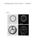 NESTED SUPRAMOLECULAR CAPSULES diagram and image