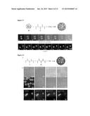 NESTED SUPRAMOLECULAR CAPSULES diagram and image