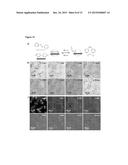 NESTED SUPRAMOLECULAR CAPSULES diagram and image