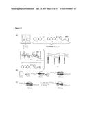 NESTED SUPRAMOLECULAR CAPSULES diagram and image