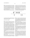 NESTED SUPRAMOLECULAR CAPSULES diagram and image