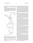 NESTED SUPRAMOLECULAR CAPSULES diagram and image