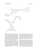 NESTED SUPRAMOLECULAR CAPSULES diagram and image