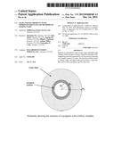 Light Weight Proppant With Improved Strength And Methods Of Making Same diagram and image