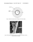 Light Weight Proppant With Improved Strength And Methods Of Making Same diagram and image