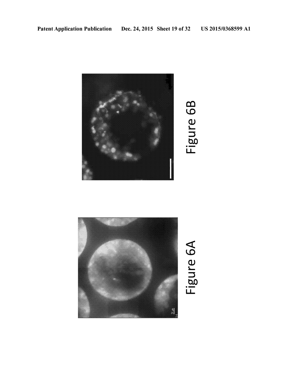 DESIGN AND HOT EMBOSSING OF MACRO AND MICRO FEATURES WITH HIGH RESOLUTION     MICROSCOPY ACCESS - diagram, schematic, and image 20