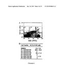 PERIVASCULAR MESENCHYMAL PRECURSOR CELLS diagram and image