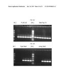 USE OF TAQ POLYMERASE MUTANT ENZYMES FOR NUCLEIC ACID AMPLIFICATION IN THE     PRESENCE OF PCR INHIBITORS diagram and image