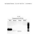 USE OF TAQ POLYMERASE MUTANT ENZYMES FOR NUCLEIC ACID AMPLIFICATION IN THE     PRESENCE OF PCR INHIBITORS diagram and image