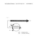 TRANSFORMED EUGLENA AND PROCESS FOR PRODUCING SAME diagram and image