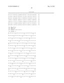 INCREASED PRODUCTION OF ISOBUTANOL IN YEAST WITH REDUCED MITOCHONDRIAL     AMINO ACID BIOSYNTHESIS diagram and image