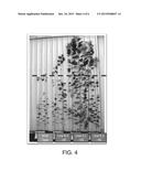 MATERIAL AND METHODS TO INCREASE PLANT GROWTH AND YIELD diagram and image