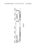 COMPOSITIONS AND METHODS OF DELIVERING TREATMENTS FOR LATENT VIRAL     INFECTIONS diagram and image