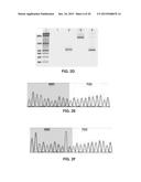 COMPOSITIONS AND METHODS OF DELIVERING TREATMENTS FOR LATENT VIRAL     INFECTIONS diagram and image