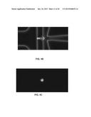 COMPOSITIONS AND METHODS OF DELIVERING TREATMENTS FOR LATENT VIRAL     INFECTIONS diagram and image