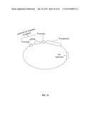 COMPOSITIONS AND METHODS OF DELIVERING TREATMENTS FOR LATENT VIRAL     INFECTIONS diagram and image