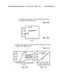 METHOD FOR SEQUENCING A TEMPLATE NUCLEIC ACID IMMOBILIZED ON A SUBSTRATE diagram and image