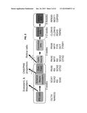 METHOD FOR GENERATING RETINAL PIGMENT EPITHELIUM (RPE) CELLS FROM INDUCED     PLURIPOTENT STEM CELLS (IPSCs) diagram and image