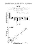 METHOD FOR GENERATING RETINAL PIGMENT EPITHELIUM (RPE) CELLS FROM INDUCED     PLURIPOTENT STEM CELLS (IPSCs) diagram and image