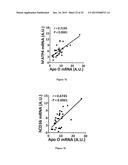 DIAGNOSTIC AND TREATMENT OF CHRONIC HEART FAILURE diagram and image