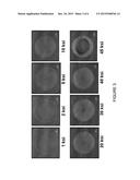 COBALT-FREE, GALLING AND WEAR RESISTANT AUSTENITIC STAINLESS STEEL     HARD-FACING ALLOY diagram and image