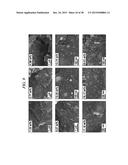 METAL-CONTAINING GRAPHENE HYBRID COMPOSITE, AND PREPARING METHOD OF THE     SAME diagram and image