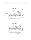 LIGHT DIFFUSION MEMBER, LIGHT DIFFUSION MEMBER WITH POLARIZING PLATE, AND     METHOD FOR FABRICATION OF LIGHT DIFFUSION MEMBER WITH POLARIZING PLATE diagram and image