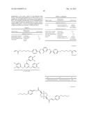 OPTICAL MEMBER AND DISPLAY INCLUDING THE OPTICAL MEMBER diagram and image