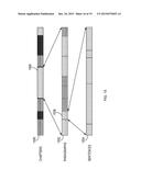 SYSTEMS AND METHODS FOR NAVIGATING ELECTRONIC TEXTS diagram and image