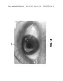 SYSTEMS AND METHODS FOR OBTAINING STRUCTURAL INFORMATION FROM A DIGITAL     IMAGE diagram and image