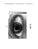 SYSTEMS AND METHODS FOR OBTAINING STRUCTURAL INFORMATION FROM A DIGITAL     IMAGE diagram and image