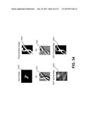 SYSTEMS AND METHODS FOR OBTAINING STRUCTURAL INFORMATION FROM A DIGITAL     IMAGE diagram and image