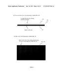 INFORMATION WRITABLE FILM AND A SAMPLE STORAGE TUBE diagram and image