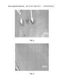 WELL-ORIENTED 6,13-BIS(TRIISOPROPYLSILYLETHYNYL) PENTACENE CRYSTALS AND A     TEMPERATURE-GRADIENT METHOD FOR PRODUCING THE SAME diagram and image