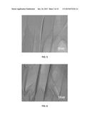 WELL-ORIENTED 6,13-BIS(TRIISOPROPYLSILYLETHYNYL) PENTACENE CRYSTALS AND A     TEMPERATURE-GRADIENT METHOD FOR PRODUCING THE SAME diagram and image