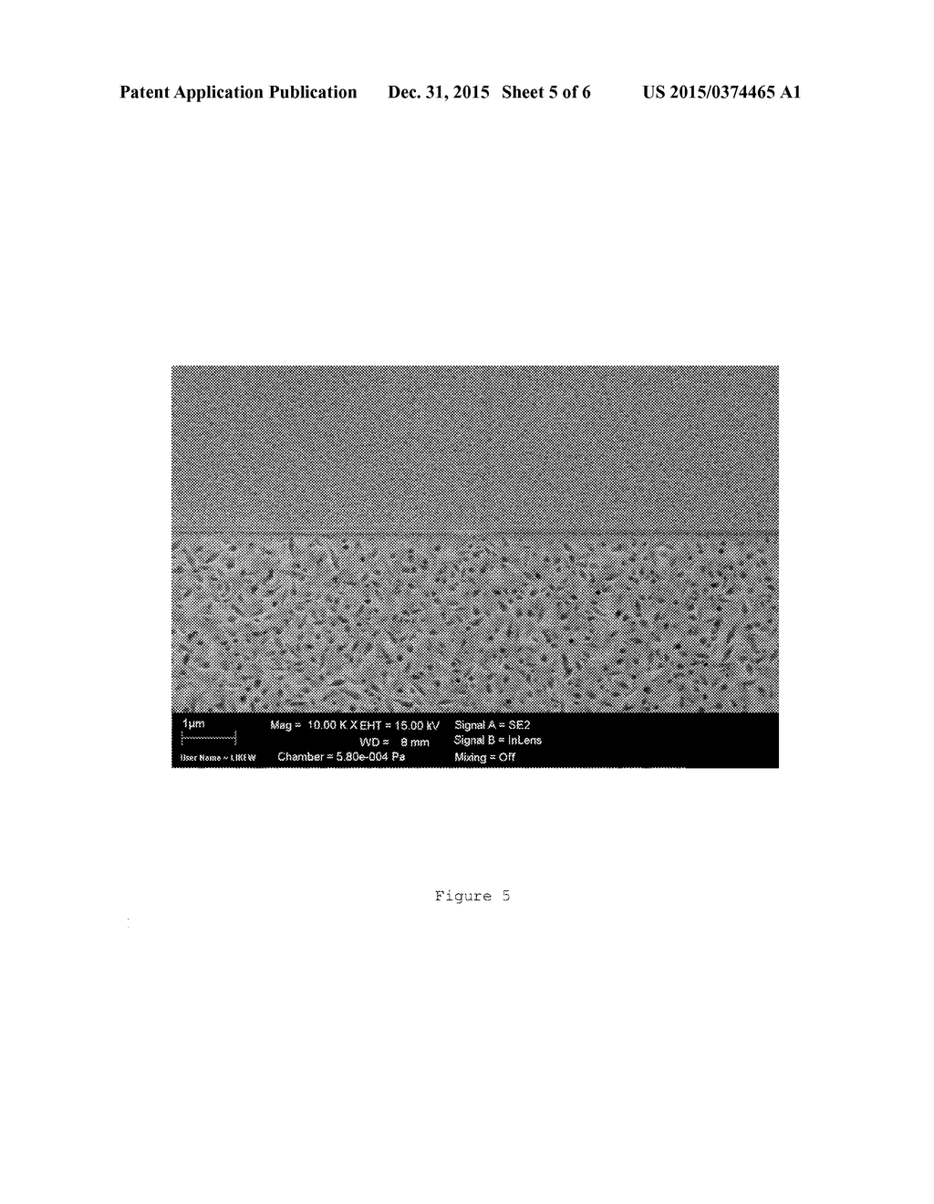 BLANK FOR DENTAL PURPOSES - diagram, schematic, and image 06