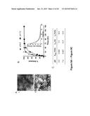 Nanoparticles for Controlled Release of Anti-Biofilm Agents and Methods of     Use diagram and image