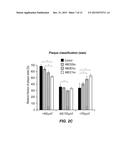 2-(R2-THIO)-10-[3-(4-R1-PIPERAZIN-1-YL)PROPYL]-10H-PHENOTHIAZINESFOR     TREATING A B-AMYLOIDOPATHY OR AN A-SYNUCLEOPATHY, ANDMETHOD FOR THE     DIAGNOSIS OR PREDIAGNOSIS THEREOF diagram and image