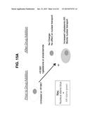 BIOMARKERS FOR TREATMENT OF NEOPLASTIC DISORDERS USING ANDROGEN-TARGETED     THERAPIES diagram and image