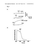 COMBINATION OF NITROPRUSSIDE AND A SULFIDE SALT AS AN HNO-RELEASING     THERAPEUTIC FOR THE TREATMENT OR PREVENTION OF CARDIOVASCULAR DISEASES diagram and image