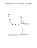 COMBINATION OF NITROPRUSSIDE AND A SULFIDE SALT AS AN HNO-RELEASING     THERAPEUTIC FOR THE TREATMENT OR PREVENTION OF CARDIOVASCULAR DISEASES diagram and image