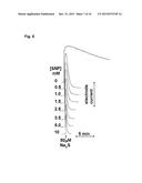 COMBINATION OF NITROPRUSSIDE AND A SULFIDE SALT AS AN HNO-RELEASING     THERAPEUTIC FOR THE TREATMENT OR PREVENTION OF CARDIOVASCULAR DISEASES diagram and image