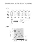 COMBINATION OF NITROPRUSSIDE AND A SULFIDE SALT AS AN HNO-RELEASING     THERAPEUTIC FOR THE TREATMENT OR PREVENTION OF CARDIOVASCULAR DISEASES diagram and image