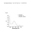 COMBINATION OF NITROPRUSSIDE AND A SULFIDE SALT AS AN HNO-RELEASING     THERAPEUTIC FOR THE TREATMENT OR PREVENTION OF CARDIOVASCULAR DISEASES diagram and image